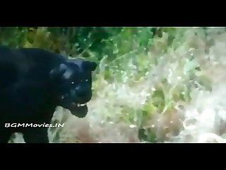 VID-20151007-WA0030